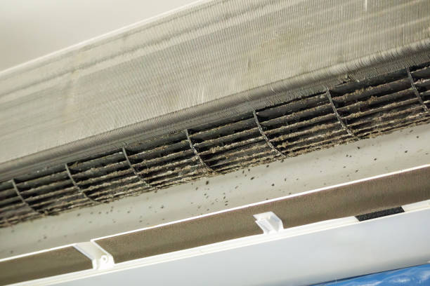 Best Local Air Duct Cleaning Services  in Summit, NJ