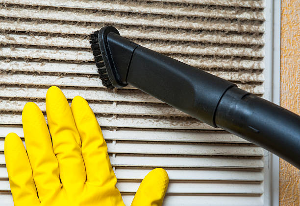 Best Air Duct Mold Removal  in Summit, NJ